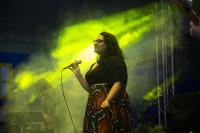 Atraes regionais convidam artistas renomados para shows no Festival de Msica de Itaja