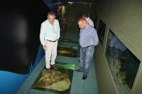 Itaja pode contar com Museu Oceanogrfico