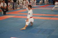 Karate conquista ouro no Ranking Catarinense Srie A