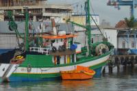 Secretaria de Pesca divulga relatrio da Rdio Costeira de maio 