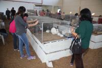 Visitantes podem conhecer quase 400 animais em exposio