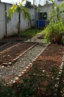 Horta de orgnicos  revitalizada na Escola Olmpio Falconieri