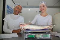 Semana do Peixe ter desconto em restaurantes e nos mercados do peixe de Itaja