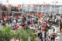 Marejada 2017  um sucesso com mais de 220 mil visitantes