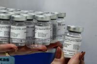 Vacinao contra gripe influenza  ampliada para crianas at 12 anos