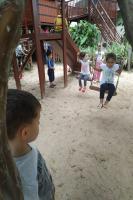 Centros de Educao Infantil de Itaja realizam passeios em meio  natureza