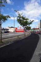 Caninana recebe nova pavimentao em Itaja