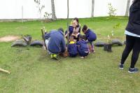 Centro de Educao Infantil Zilda Arns recebe plantio de rvores