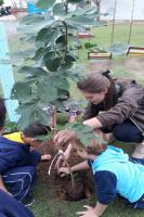 Centro de Educao Infantil Zilda Arns recebe plantio de rvores