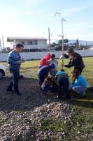 Escola do Cidade Nova recebe plantio de rvores e revitalizao de horta