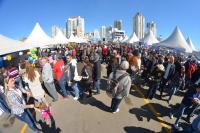 Festa do Peixe  sucesso de pblico com mais de 30 mil pessoas