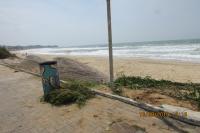 Municpio d continuidade ao combate dos escorpies na Praia Brava
