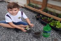 Alunos fazem horta no Centro de Educao Infantil Joo Victorino