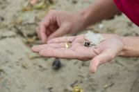 Dia Mundial da Limpeza ter aes ecolgicas na Praia do Atalaia