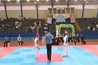 Mega Open Internacional de Taekwondo rene mais de 600 atletas  