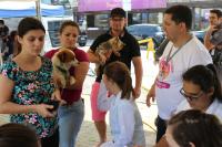Unidade mvel inicia castraes gratuitas na 1 Semana do Bem-Estar Animal