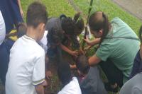 Instituto Cidade Sustentvel realiza plantio de rvores nativas