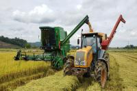 Agricultores de Itaja iniciam a colheita do arroz