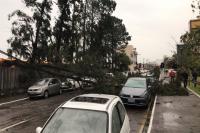 Defesa Civil e rgos de segurana atendem moradores afetados pelos fortes ventos em Itaja