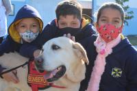 Educação lança projeto para sensibilizar alunos e comunidade sobre proteção animal