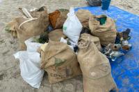 Semana da gua inicia com mutiro de limpeza da Praia da Atalaia, Molhes da Barra e margens da Baa Afonso Wippel