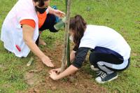 Alunos da Escola de Campo Maria do Carmo Vieira participam de plantio de mudas de árvores
