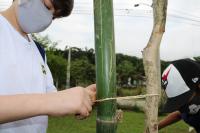 Alunos da Escola de Campo Maria do Carmo Vieira participam de plantio de mudas de árvores