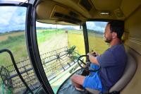 Agricultores itajaienses iniciam a colheita do arroz