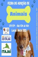UAPA promove feira de adoção de animais no sábado (09)