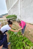 Escola de Campo Maria do Carmo Vieira participa de projeto sobre meio ambiente e saúde