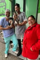Mutirão já castrou mais de 750 animais gratuitamente em Itajaí