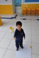 Centro de Educação Infantil do bairro Cordeiros realiza experiências com flores