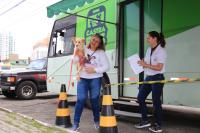 4º Mutirão de Castração de Animais ocorre na próxima semana em Itajaí