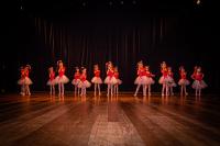 Teatro Municipal recebe recitais de ballet do programa Arte nos Bairros