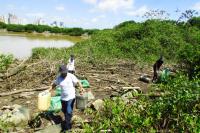 Lixeiras sustentáveis são instaladas no caminho do Molhe em Itajaí