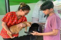 Mutiro de Castrao de Animais de Itaja realiza primeira ao do ano