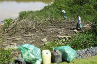 Sbado (04) tem mutiro de limpeza e plantio no mangue em Itaja