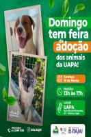 Domingo tem feira de adoo responsvel de animais na UAPA
