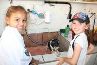 Estudantes do município de Itajaí preparam animais da UAPA para Feira de Adoção