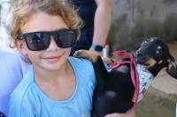Estudantes do município de Itajaí preparam animais da UAPA para Feira de Adoção