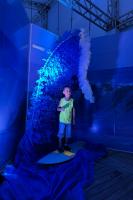 Exposio Mar Adentro est aberta para visitao na The Ocean Race Itaja