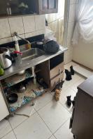 INIS e Polcia Militar resgatam 33 gatos em apartamento de Itaja