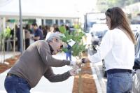 Municpio de Itaja plantou 80 mudas de ip amarelo na rua Luci Canziani