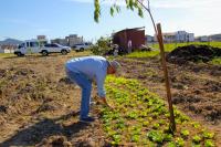 Projeto Agrofloresta inicia plantio de mudas em terreno no Santa Regina