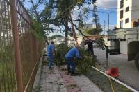 Municpio auxilia comunidade atingida por fortes ventos de ciclone extratropical nesta quinta-feira (13)