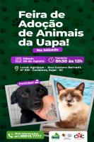 UAPA promove Feira de Adoo de Animais no bairro Cordeiros