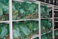 Itajaí doou quase 20 toneladas de alimentos em seis meses