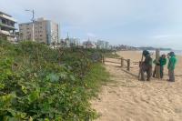 Obras de melhorias na restinga avanam na Praia Brava