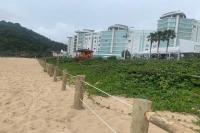 Obras de melhorias na restinga avanam na Praia Brava