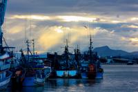 Itaja  confirmada oficialmente como Capital Nacional da Pesca